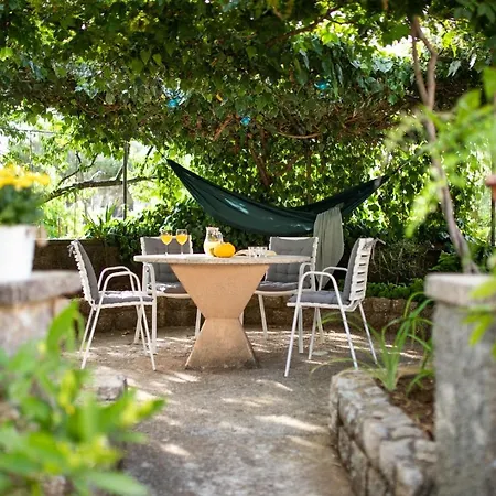 Tonica 3* Малинска